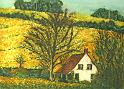 Rape Seed